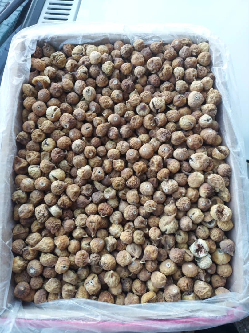 انجیر خشک استهبان 1800g سایز AA+ کیفیت کم