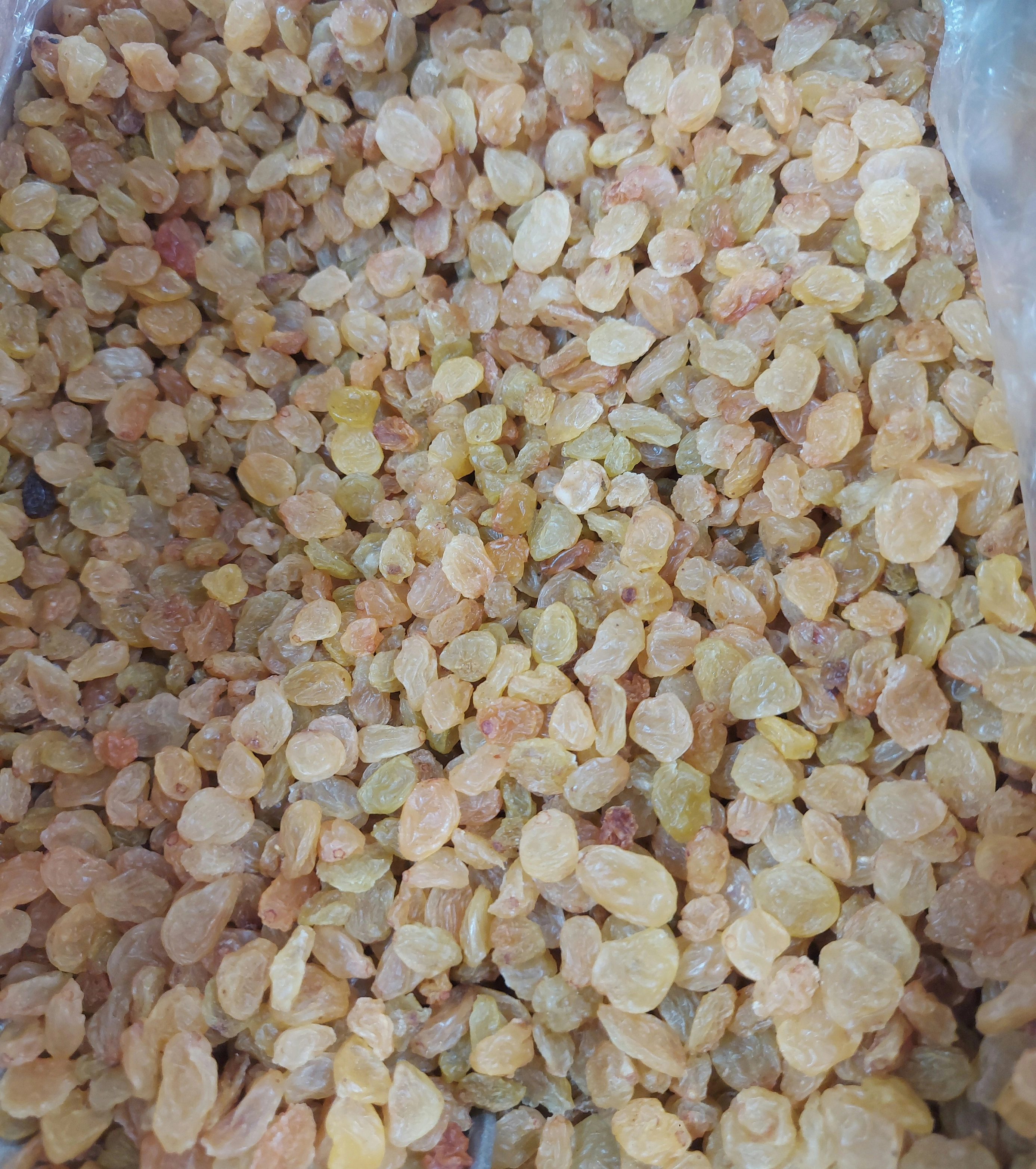 کشمش زرد درجه یک ۱۰۰۰ گرم