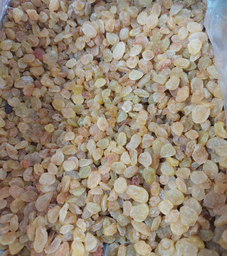 کشمش زرد درجه یک ۱۰۰۰ گرم