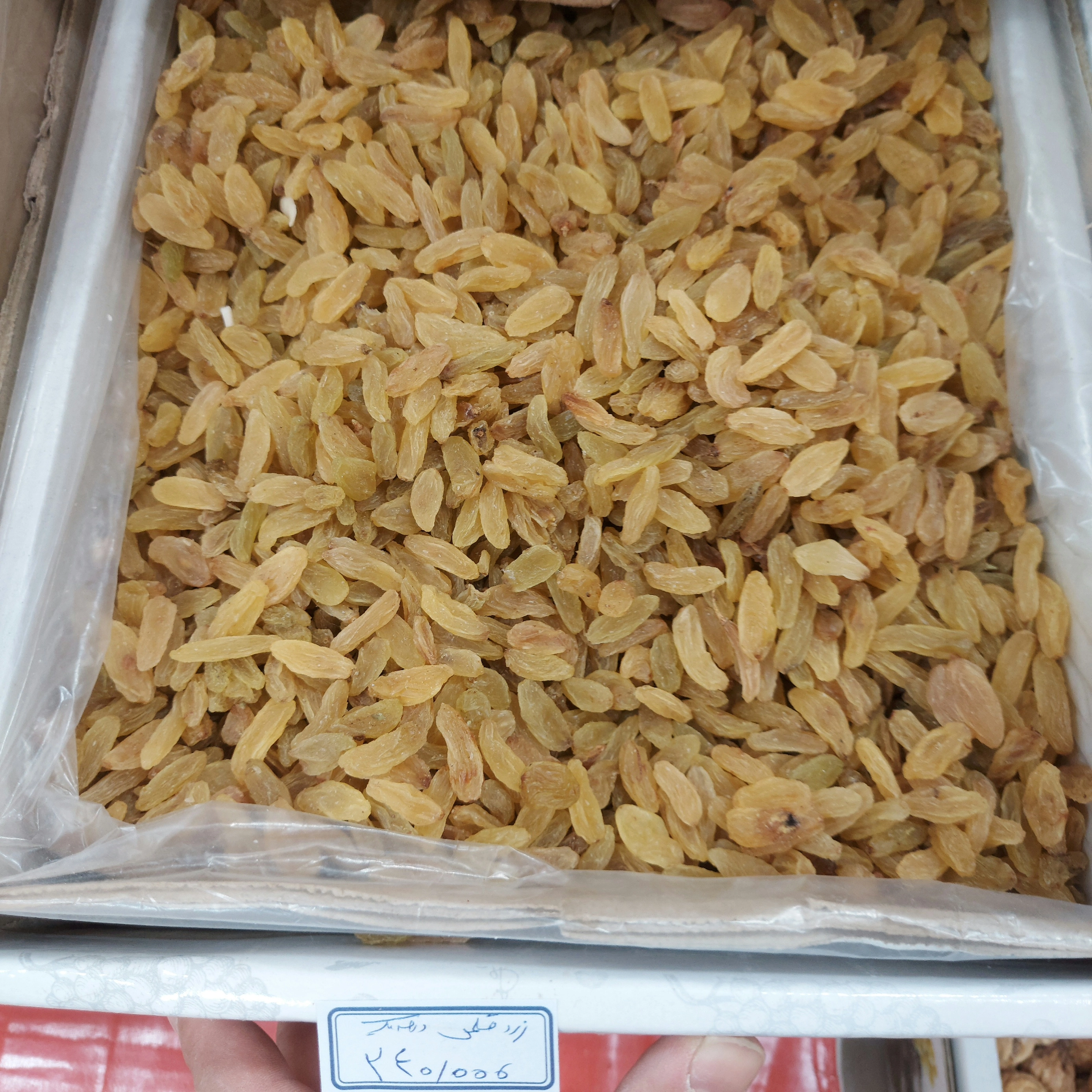 کشمش زرد قلمی درجه یک ۱۰۰۰ گرم