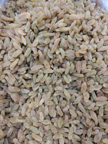 کشمش سبز قلمی درجه یک ۱۰۰۰ گرم