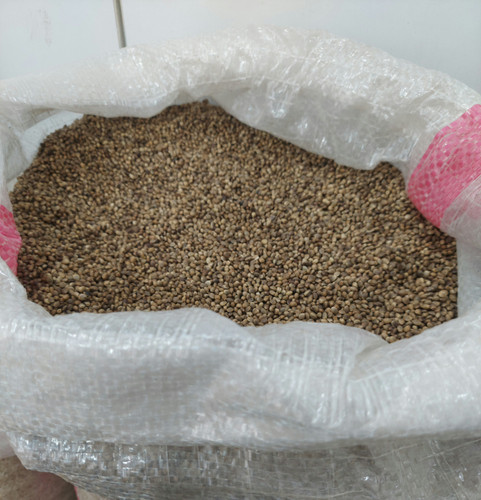 شادانه برشته یک کیلو ۱۰۰۰ گرم (فروشگاه توت استور)