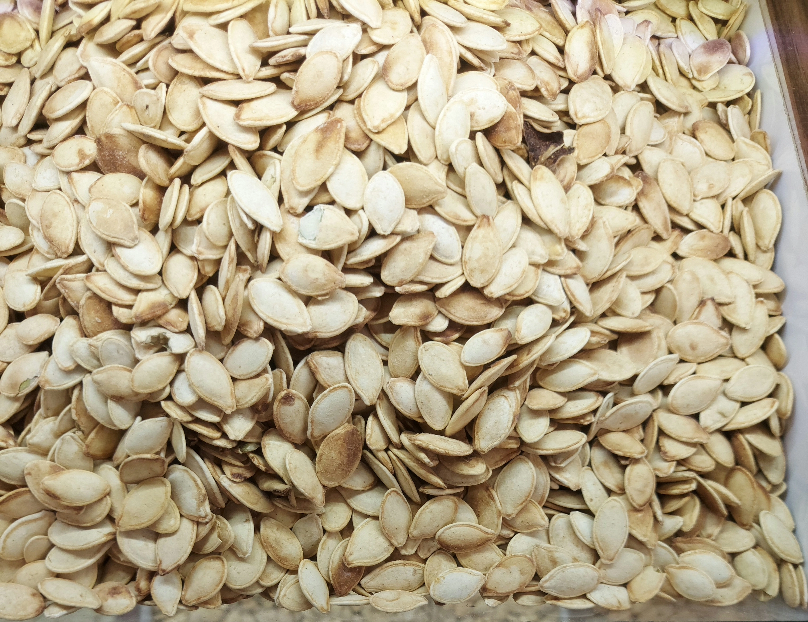 تخمه کدو گوشتی خارجی خوشمزه گرم (فروشگاه توت استور)