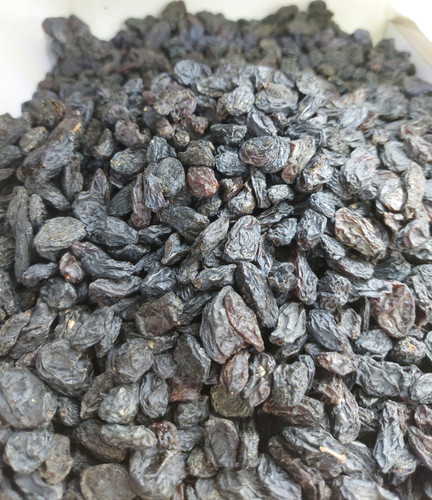 مویز خارجی درجه یک نیم کیلو ۵۰۰ گرم (فروشگاه توت استور)